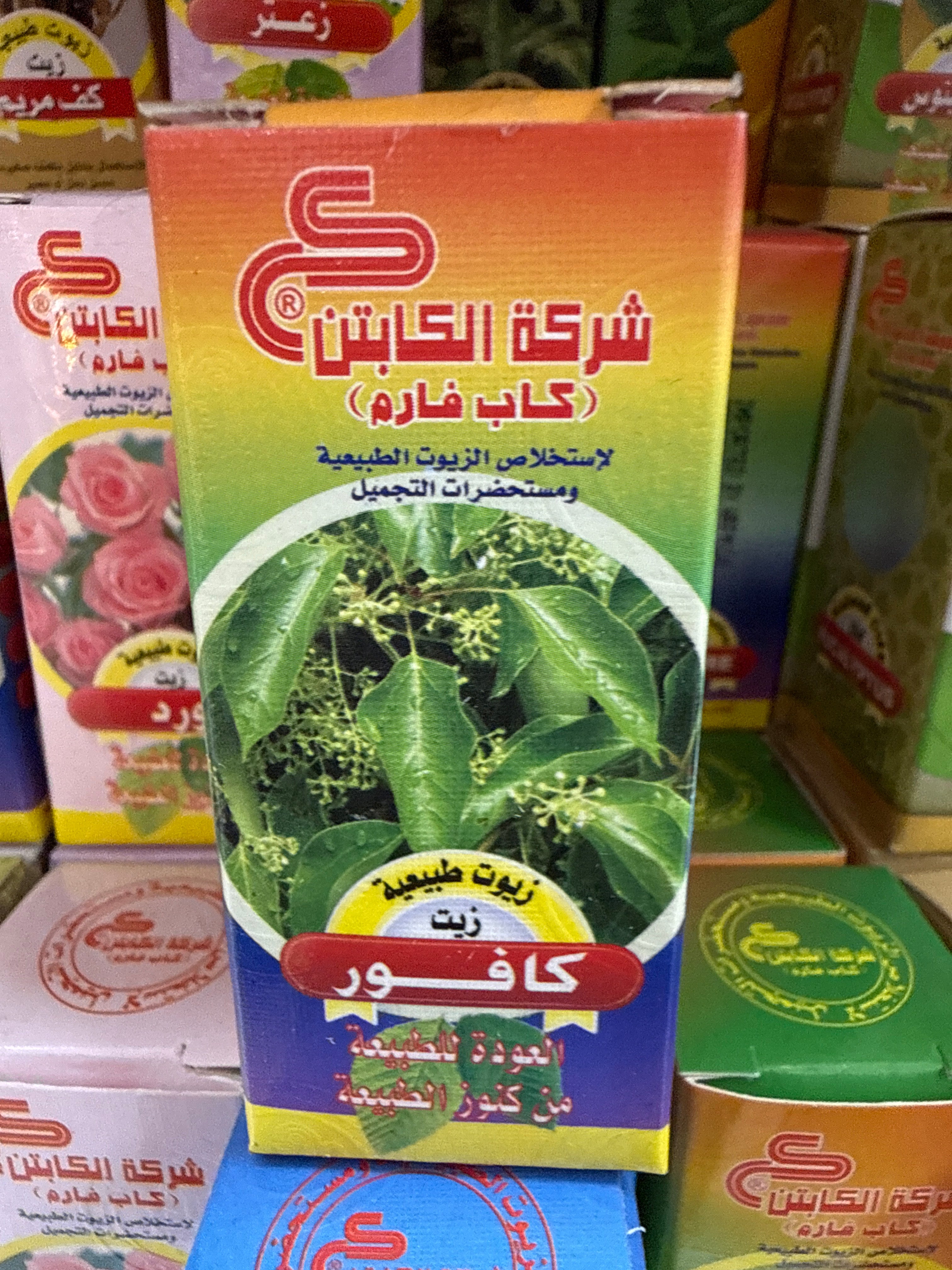 Camphor